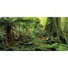AWERT 48x20 inches Forest Terrarium Background Stone Green Huge Tree