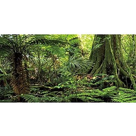 AWERT 48x20 inches Forest Terrarium Background Stone Green Huge Tree Reptile Habitat Background Tropical Rainforest Aquarium Background Durable Polyester Background
