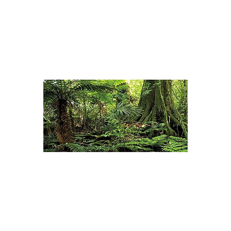 AWERT 48x20 inches Forest Terrarium Background Stone Green Huge Tree