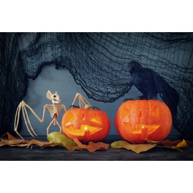 GIFTEXPRESS 30 ft Creepy Cloth Halloween Decor, Horror Scene Decoration Party, Freaky Fabric-Loose Weave for Halloween Front Yard and Indoor Decoration (Black)