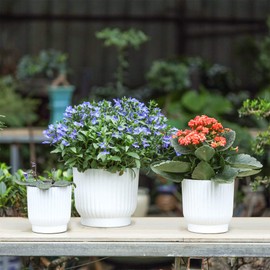 T4U 4 Inch Self Watering Pots for Indoor Plants, 6 Pack White Plastic Flower Pots for All House Plants, Flowers, African Violets