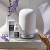 Nest New York Fragrances Wellness Lavender & Clary Sage Misting