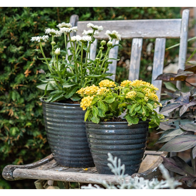 Headwind 10" Norwood Planter - Pebble