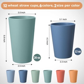 HEYCOME Set of 12 Wheat Straw Cups, 6 Pcs 20 oz & 6 Pcs 12 oz Unbreakable Drinking Cups, Reusable Plastic Cups Sets, Water Glasses Tumblers, Microwave & Dishwasher Safe, Bpa Free, 6 Colors