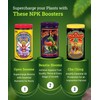 FoxFarm Soluble Nutrient Trio Pack - Open Sesame, Beastie Bloomz,