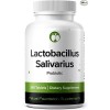 Lactobacillus Salivarius Probiotic Supplement 240 Tablets 3 Billion CFU