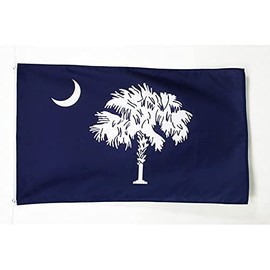 AZ FLAG - Flagge South Carolina - 150x90 cm - Bundesstaat South Carolina Fahne 90 x 150 Cm Feiner Polyester - Flaggen