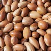 Shower Cream - Argan Milk by Le Petit Olivier for