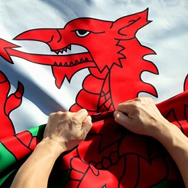 Anley Rip-Proof Double Sided 3-Ply Wales Flag 3x5 Ft - Canvas Header and Wrinkle Resistant - The Strongest Longest Lasting Welsh National Flag 3X5 Ft