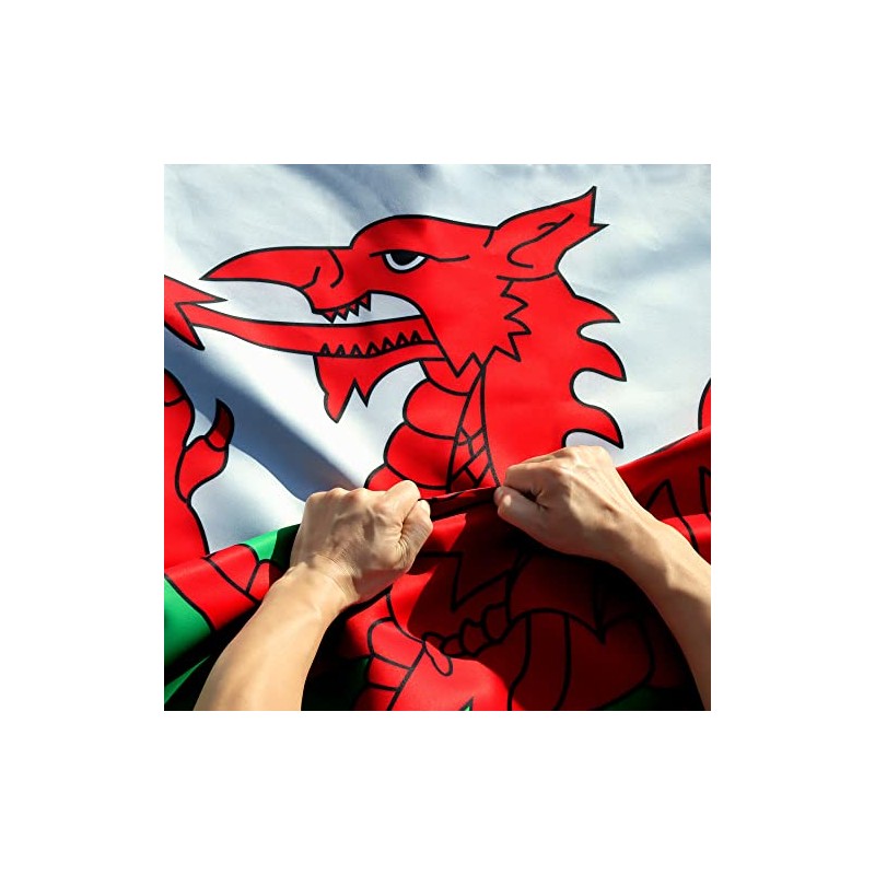 Anley Rip-Proof Double Sided 3-Ply Wales Flag 3x5 Ft -