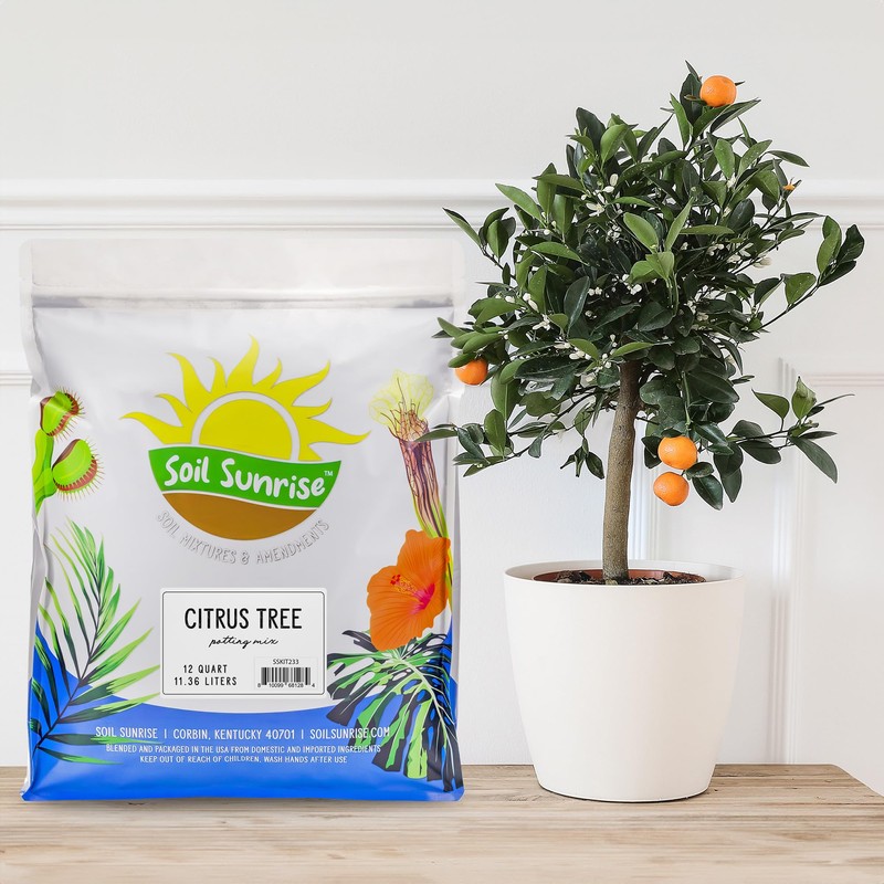 Soil Sunrise Citrus Tree Potting Soil Mix (12 Quarts) Special