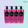 애반컴퍼니 Elastin Silk Repair Shining Gold Shampoo 550ml - Set of 4