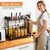 Countertop Spice Rack Organizer 2-Tier Seasoning Organizer with Metal Guardrail