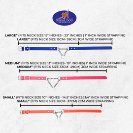 Regal Dog Products Martingale Collar for Dogs - Waterproof Biothane Collar for Small, Medium, Large Dogs - Limited Cinch Heavy Duty Chain for No Pull Dog Walking and Pet Training (Medium, Blue)