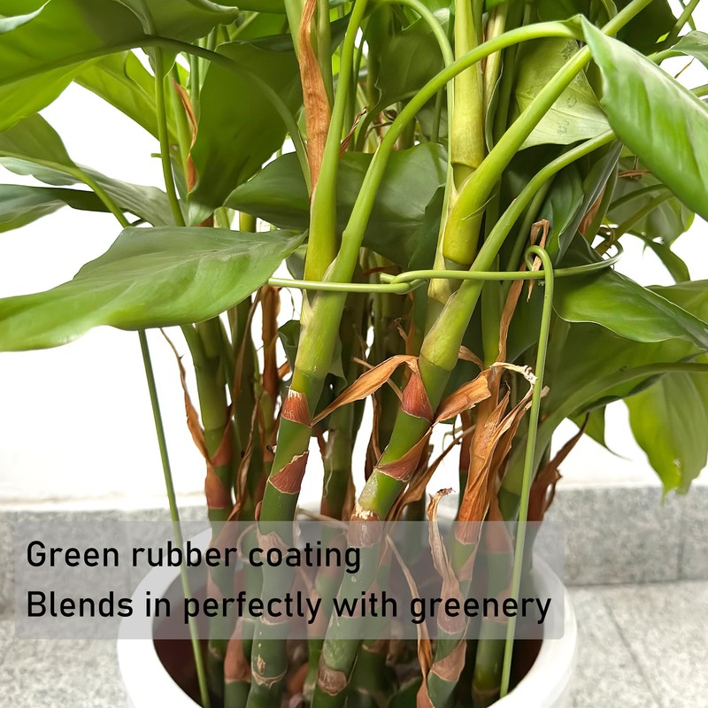 Boinio Adjustable Snake Plant Support Stakes, Peony Supports Cages Garden