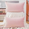 Madizz Pack of 2 Super Soft Velvet Decorative Cushion Covers