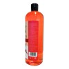 6 Pz Shampoo Secreto Herbal De Chile Prevención Caída Capilar