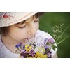 Fragrance Bouquet Flower Rocket Seed Disc - Concentrated Flower Planting