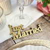 Luck and Luck Wooden Hanging Just Married Sign, Mini Wedding