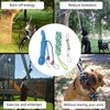Spring Pole Dog Rope Toy Muscle Builder Interactive Dog Hanging