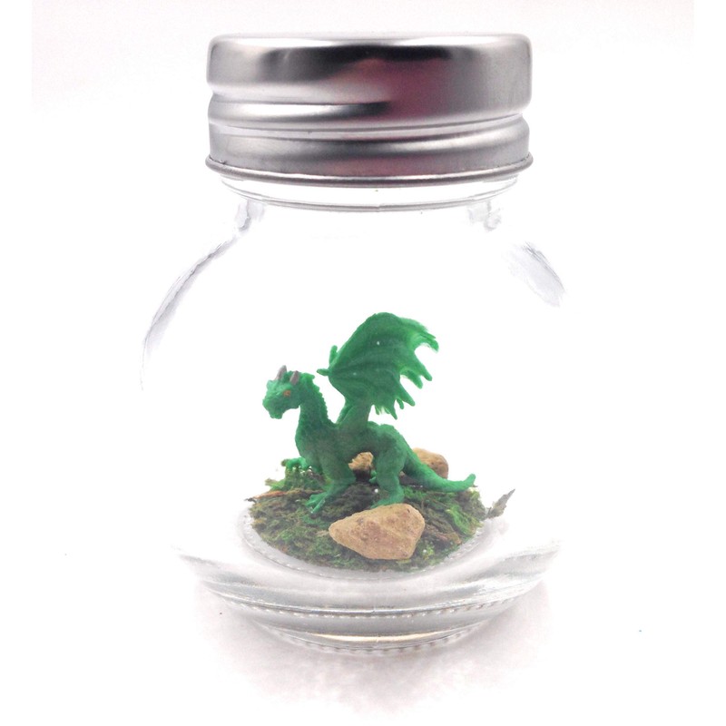 Fish Belli Mini Pet Forest Dragon with Adoption Certifcate Green