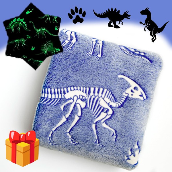 Christmas Dinosaur Gifts Toys for Kids Boys, Dinosaur Fossil Pattern