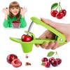 Cherry Pitter, Cherry Stoner Remove Cherry Core with Stainless Steel