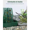 Pawfly Climbable Chameleon Feeder, Large Plastic Reptile Feeder Box, Bearded