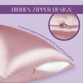 Olesilk 100% Silk Pillow Case / Pillow Cover, Gentle on Hair and Skin, with Concealed Zip, 19 Momme, 1 Item