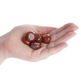 Earth Story Carnelian Tumblestone Set for Virgo – 3-Piece Birthstone Healing Crystal Collection