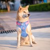 PHOEPET No Pull Dog Vest Harness with Unique Colors，Adjustable Reflective