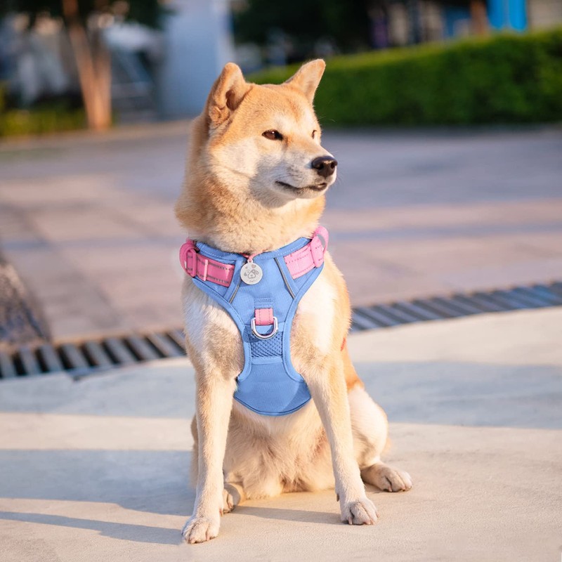 PHOEPET No Pull Dog Vest Harness with Unique Colors，Adjustable Reflective