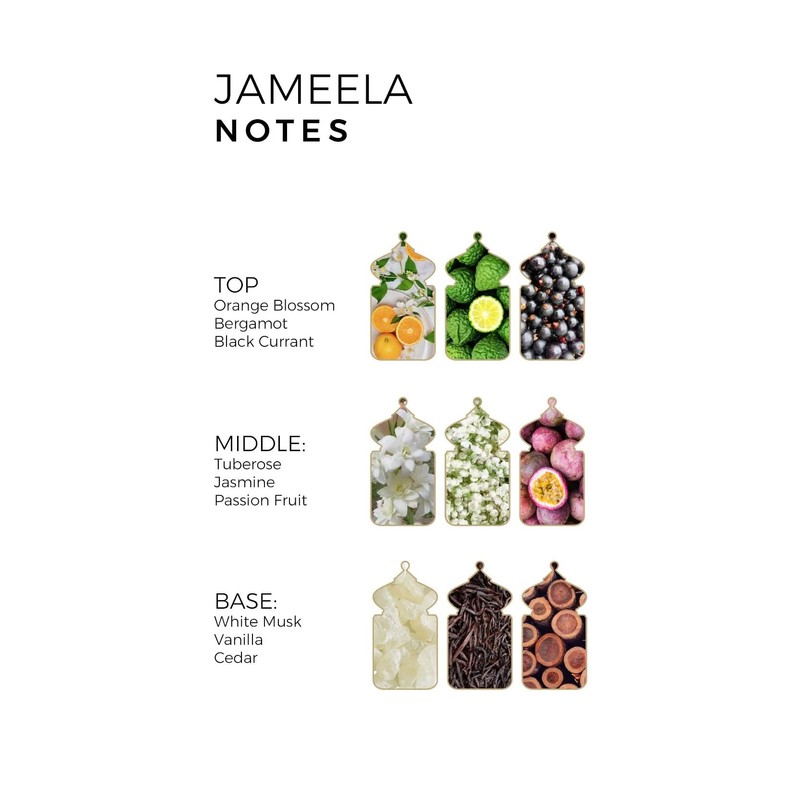 MATIN MARTIN Jameela - Luxury Arabian Perfume for Women -