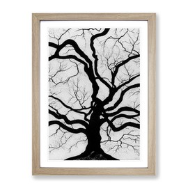 Monochrome Tree Art No.3 Framed Print for Living Room Bedroom Home Office Décor, Wall Art Picture Ready to Hang, Oak A4 Frame (34 x 25 cm)