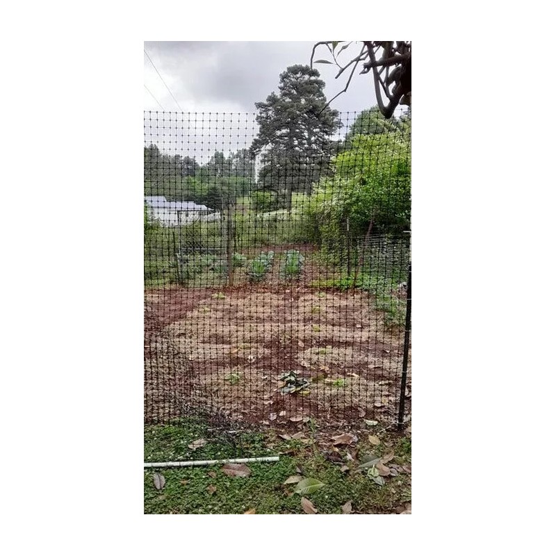 PAK Global Virtually Invisible Deer Fence! Protect Your Garden, &