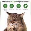 wonderflower Natural Silvervine Cat Chew Sticks, Feathered Cat Toys, 6-Piece