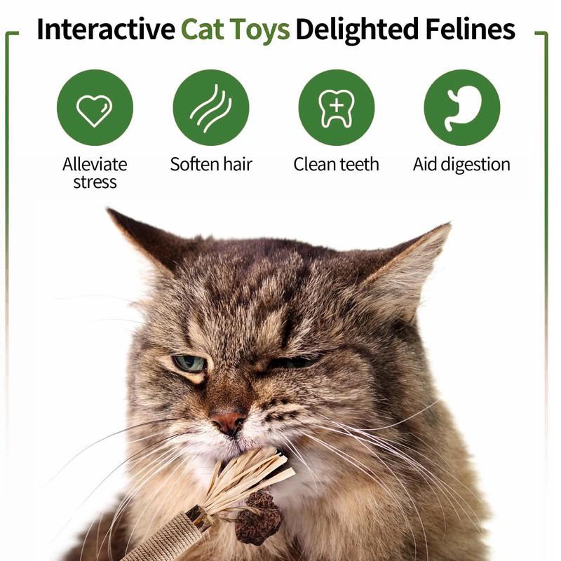 wonderflower Natural Silvervine Cat Chew Sticks, Feathered Cat Toys, 6-Piece