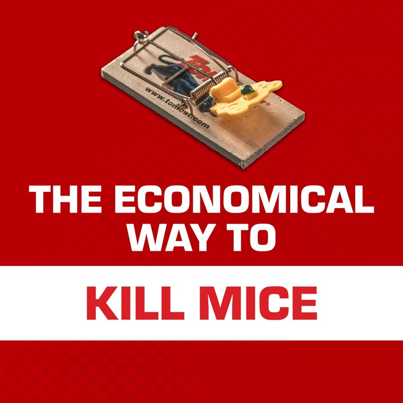 Tomcat Mouse Traps (Wooden), Easy to Use, Effective Way to