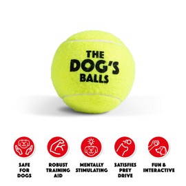 The Dog's Balls, Dog Tennis Balls, Pack of 6