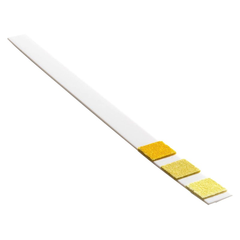 One Step: 10 x Kidney Function Test Kits, Creatinine, Protein