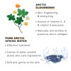 LUMENE Nordic-C [Valo] Fresh Glow Brightening Gel Mask