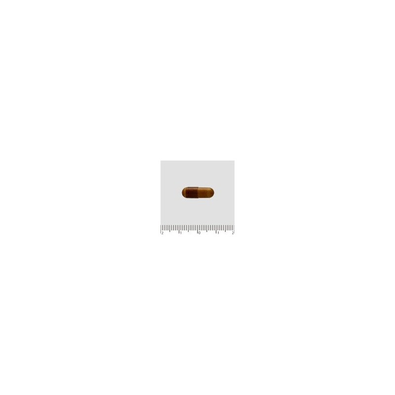 Maruman Bees Baby 快音 Gold 322mg X 90 Grain