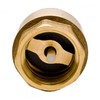 DuraChoice 1" Brass In-Line Spring Check Valve - 200WOG
