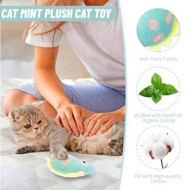 NJCXOLA 5 pieces catnip plush toys, catnip plush toys, soft plush cat toy, toy sets kitten cleaning training game nibbling