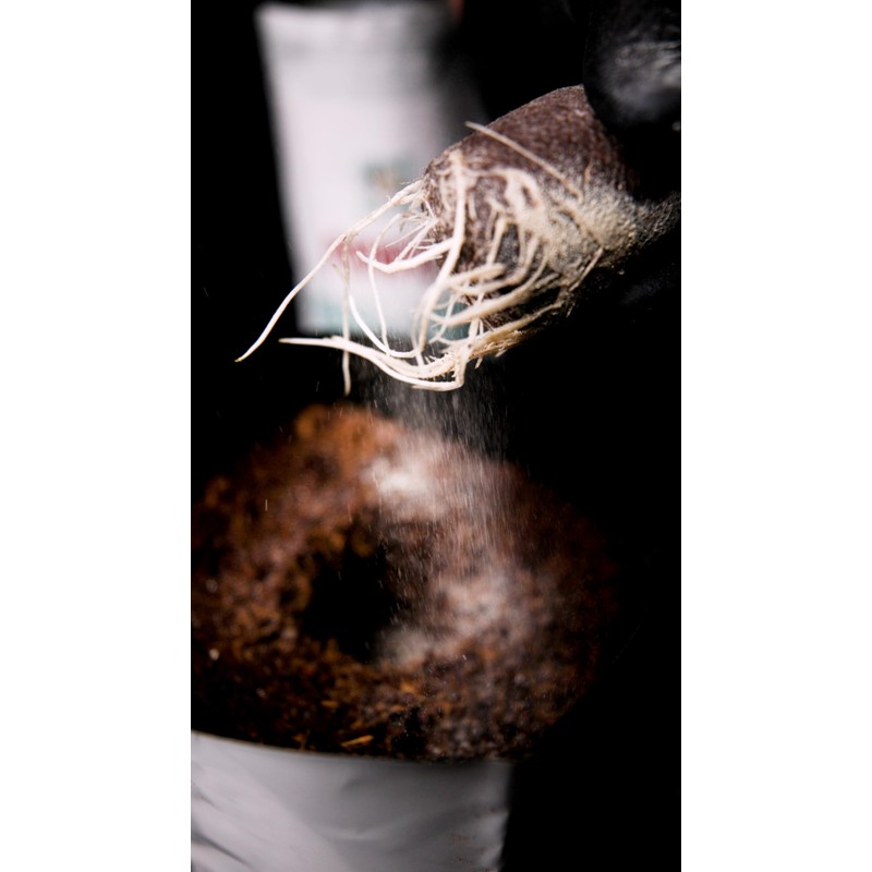 PowerSi Start 2lb – All-Natural Microbial Inoculant for Enhanced Root