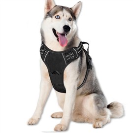 BVEOYPET Dog Harness,Adjustable Soft Padded Dog Vest with 2 Leash Clips,No-Pull Pet Harness with 2 Snap Buckles,Reflective No-Choke Pet Oxford Vest for Small Medium Large Dogs (Black, M)
