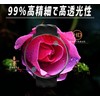 For Smart Watch Protective Film, 1.43 Inch Thermoplastic Polyurethane 3D
