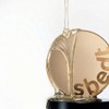 Ingredient Editor Silk Peptide Intensive Lifting Cushion 13g 1 Refill
