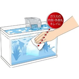 Tetra (tetra) akuawaipa- 10 Piece