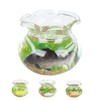 4pcs 1:12 Scale Miniature Glass Goldfish Bowl DIY Fish Bowl